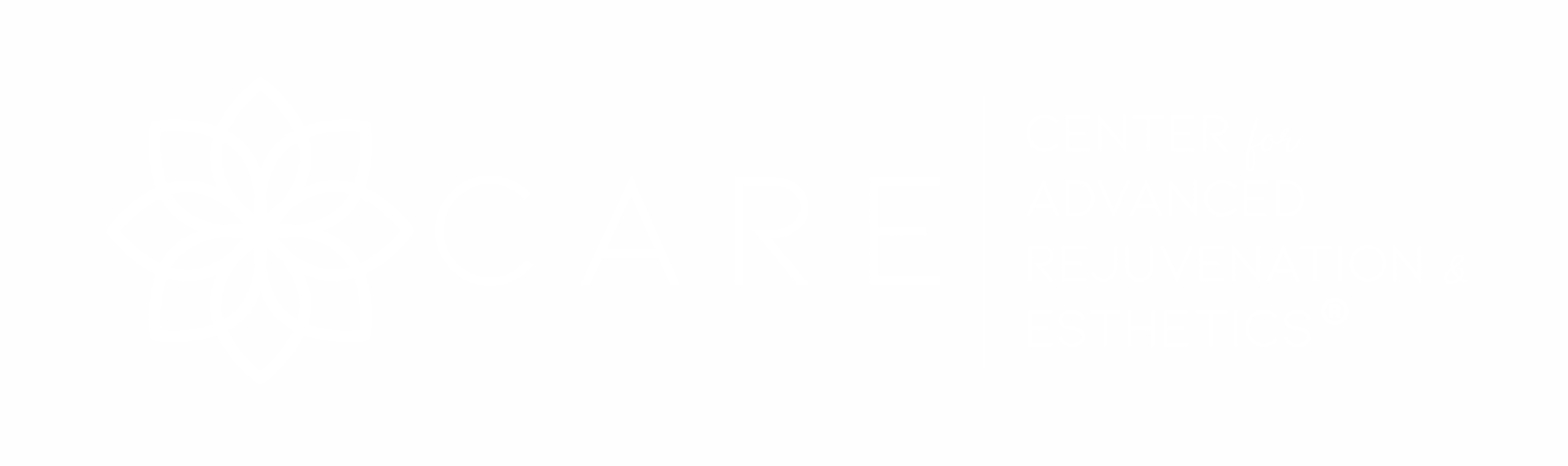 CARE Logo