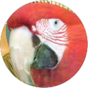 Michele K Mills profile picture